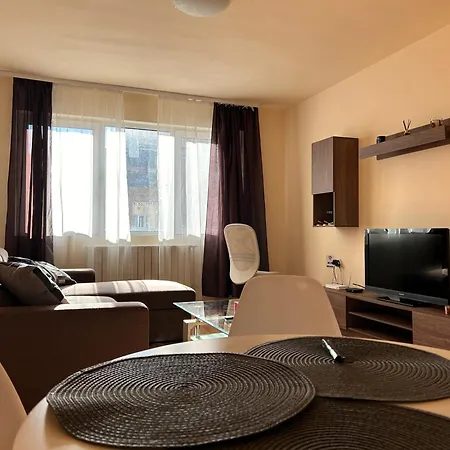 Nice, Spacious And Cozy 公寓