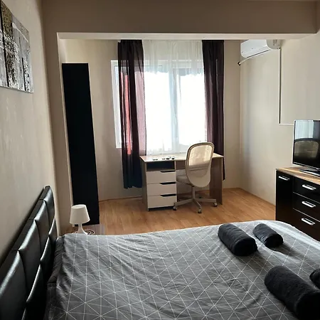 Nice, Spacious And Cozy 公寓