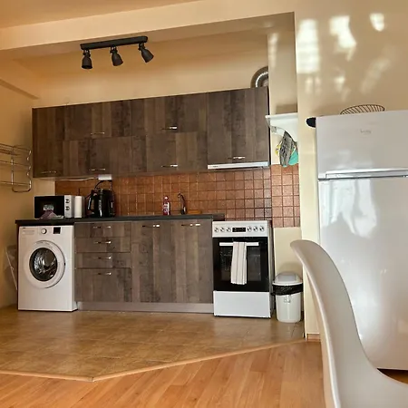 Nice, Spacious And Cozy Apartamento *